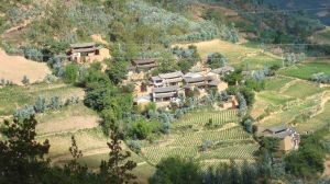 蒼腦包村 蒼腦包村