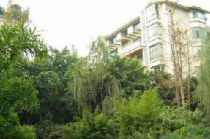 竹韻箐華 竹韻箐華