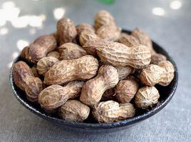 五香鹵花生 五香鹵花生