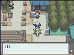 《口袋妖怪：金》