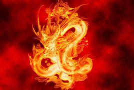 火龍[哈利波特中的火龍]