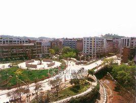 廣安區龍台鎮 廣安區龍台鎮