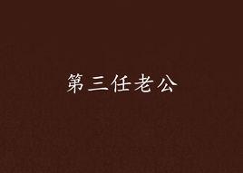 第三任老公 第三任老公