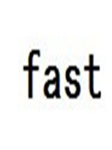 fast[2007年建造的射電望遠鏡]