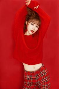 劉瑞琦[中國創作女歌手]