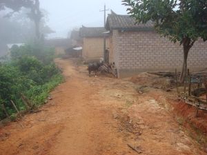 上雅竜自然村 上雅竜自然村