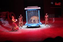 美女變老虎劇照