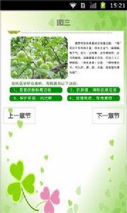 酵素青梅減肥秘籍 酵素青梅減肥秘籍