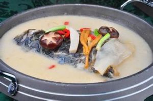 鱘龍魚頭燉天麻 鱘龍魚頭燉天麻