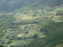 松園村[雲南省大理市賓川縣力角鎮下轄村]