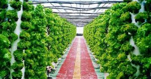 雙興農業生態旅遊區