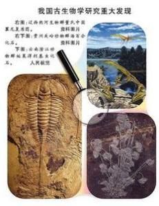 古生物學 古生物學