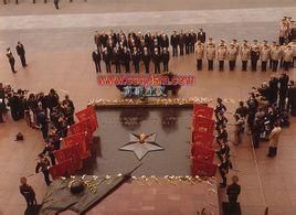 發達社會主義 發達社會主義