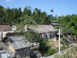 坪上村[黔西南布依族苗族自治州坪上村]