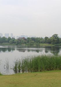 武漢自然博物館 