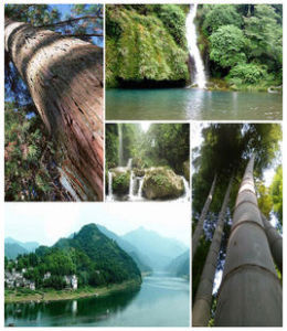 何家沖[湖北省崇陽縣何家岩的下轄地區]