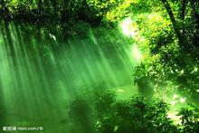 大自然[中國自然科學博物館協會等機構主辦科普期刊]