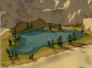 撒哈拉沙漠植物