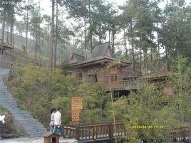 獨山紫林山國家級森林公園