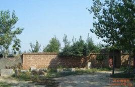 白馬寺[山東省聊城市白馬寺]