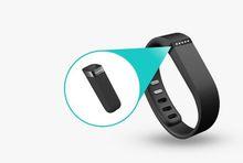 Fitbit Flex 配件圖