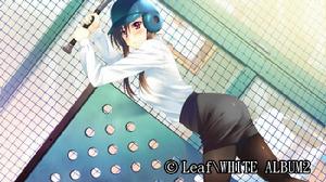 優しい噓 優しい噓