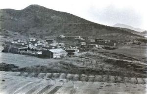 錦州市果樹農場