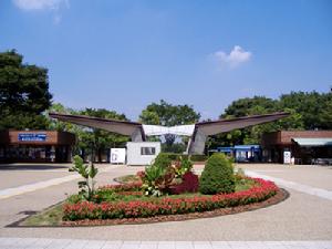 （圖）東京都道5號新宿青梅線