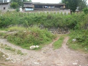 喬後鎮柴壩村委會礦山自然村道路