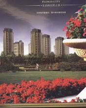 寶盛&middot;花語城