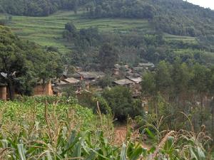 小泥溪村 小泥溪村