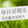 每日星期天 每日星期天