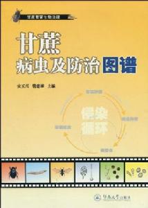 甘蔗病蟲及防治圖譜 甘蔗病蟲及防治圖譜