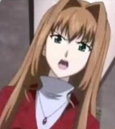 石蕗紅羽 石蕗紅羽