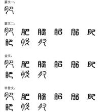 肥[漢字]