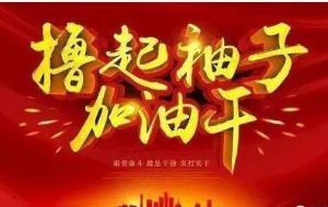 擼起袖子加油乾