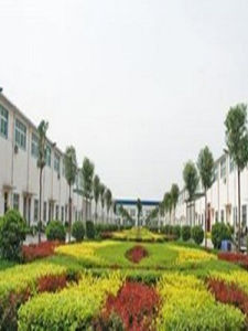 恆星科技 恆星科技