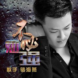 不必勉強[駱海燕演唱歌曲]