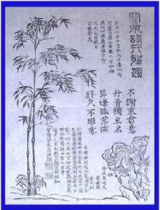 關帝詩竹 關帝詩竹