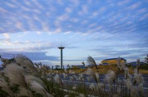 團山國家礦山公園 團山國家礦山公園