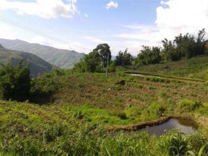 沙松自然村 沙松自然村