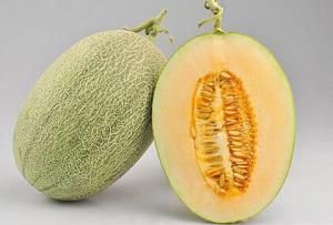 Hami melon Hami melon