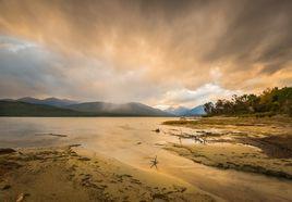 洪荒五蟲 洪荒五蟲