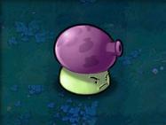 《植物大戰殭屍》[PopCap Games開發的遊戲]