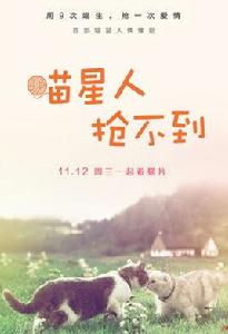 喵星人搶不到 喵星人搶不到