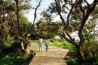 鶴之洲濕地公園