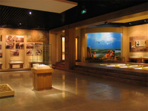 齊齊哈爾市博物館