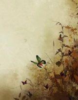 暮城煙火 暮城煙火