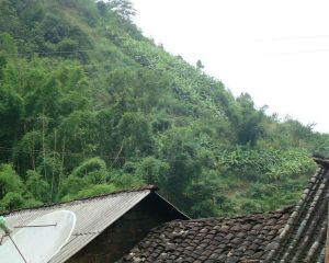 小岩子頭村 小岩子頭村