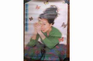 飛向各自的夢 飛向各自的夢